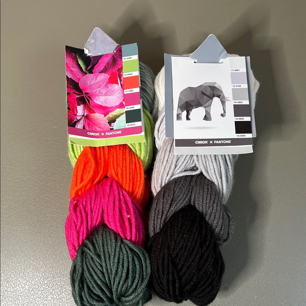YARNSPIRATIONS CARON X PANTONE LOT OF 2
